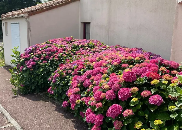 Appt Avec Vue Panoramique Sur Le A Port Bourgenay * Talmont-Saint-Hilaire